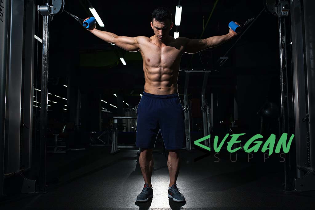 Fatburner vegan