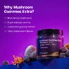 Mushroom Gummies Extra GOLD – Blackcurrant smaak – Bild 2