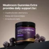 Mushroom Gummies Extra GOLD – Blackcurrant smaak – Bild 5